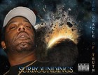 Picture for song 'SURROUNDINGS' by artist 'T.V.O.R (THE VOICE OF REASON'