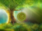 Picture for song 'Dolla - Moment Of Magic' by artist 'uksdolla'