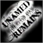 Picture for song 'Shes Down For Me' by artist 'Unamed Remains'