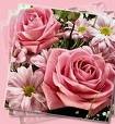 Picture for song 'Paper Roses' by artist 'Valayda'
