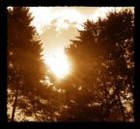 Picture for song 'GOOD MORNING SUNSHINE' by artist 'Valerie Lynn'