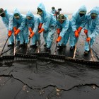 Picture for song 'Stop The Cryin(the oil spill in the gulf)' by artist 'VEREENCORP'