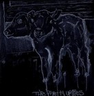 Picture for song 'Blue Train' by artist 'village of cream puffs'