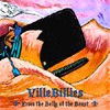 Picture for song 'Don't Make Sense' by artist 'villebillies'