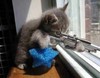Picture for song 'Dirty Wordz' by artist 'VL - Russian Thugz (Rus)'