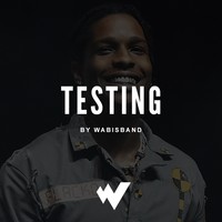 Picture for song 'Testing' by artist 'Wabisband'