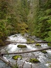 Picture for song 'Water Flow' by artist 'We've Never Met'