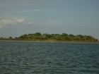 Picture for song 'On A Sunny Florida Day' by artist 'Willie Allen'
