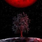 Picture for song 'La Mort du Chef de Meute (Alpha's Death)' by artist 'Wolfy d'Arkan'