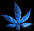 Picture for song 'You know This' by artist 'WUNEN ONLY K1NG'