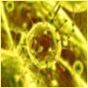 Picture for song 'Mutant Virus' by artist 'Xvektor (EXP)'