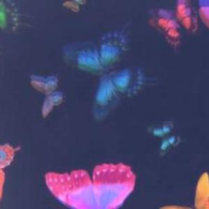 Picture for song 'Nunca' by artist 'YELLXW'
