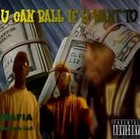 Picture for song 'u can ball if u want to' by artist 'youngsta fly'