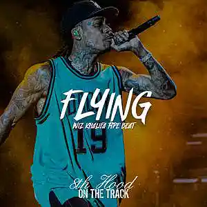 Picture for song 'Flying - Wiz Khalifa MGK Type Beat' by artist '8th Hood'