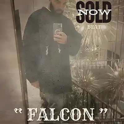 Picture for song 'Drake Type Beat - "FALCON"' by artist 'AlA.Beatz'