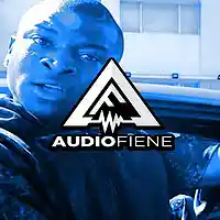 Picture for song 'Fuegos' by artist 'Audio Fiene'