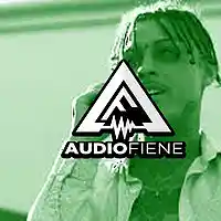 Picture for song 'WatchDogs' by artist 'Audio Fiene'