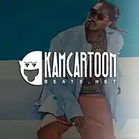 Picture for song 'Grammys' by artist 'KamCartoon'