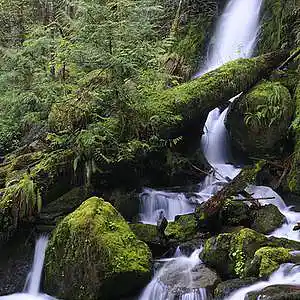 Picture for song 'LeMinhMan.com - Nha Um Thanh' by artist 'leminhman'