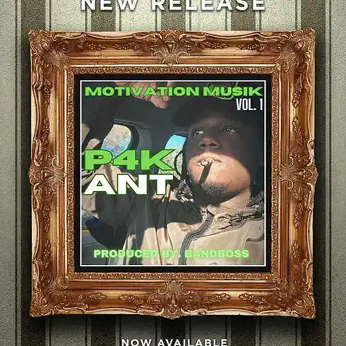Picture for song 'OgAntBihh - Get Money UNRELEASED' by artist 'P4K Ant'