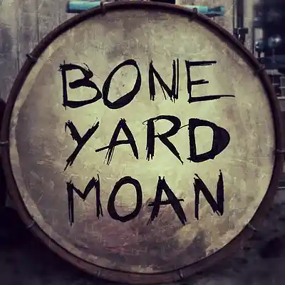 Picture for song 'Bone Yard Moan' by artist 'Swampman And The Machine'