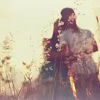 Song picture