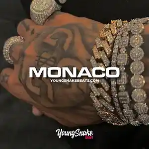 Picture for song '"MONACO" - Big 30 x Big Scarr x Freestyle Type Bea' by artist 'Young Snake Beats'