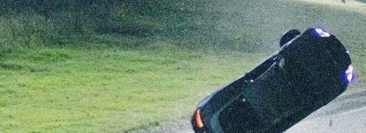 cover pic