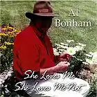 Picture for song 'What Happened To Us' by artist 'Al Bonham'