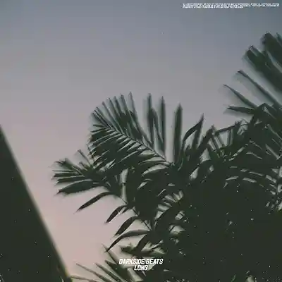 Picture for song 'long' by artist 'darkside beatss'
