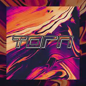 Picture for song 'Torn' by artist 'Deaf Lynch'