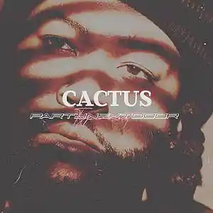 Picture for song 'Cactus (Buy 1 Get 1 Free)' by artist 'ENZO'
