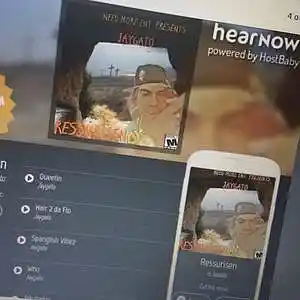 Picture for song 'TINGAMAJIG' by artist 'JAYGATO'