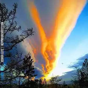 Picture for song 'Hands-demo-Steve Owen-J D Cole' by artist 'J D COLE SONGS'