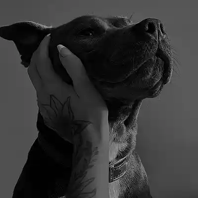 Picture for song 'SQUABBLE - Vince Staples Type Beat' by artist 'MADSPILL'