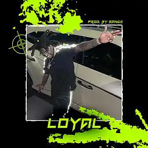 Picture for song 'Polo G x Toosii x Kodak Black Type Beat-Loyal' by artist 'sange beats'