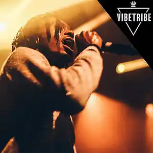 Picture for song '*Playboi Carti* Freshman (BUY 1 GET 1 FREE!)' by artist 'VibeTribeBeatz'