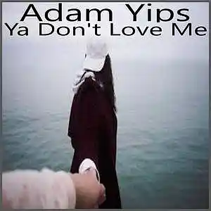 Picture for song 'Ya Don't Love Me' by artist 'Adam Yips'