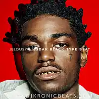 Picture for song 'Jealousy (BUY 1 GET 1 FREE)' by artist 'DJ Kronic Beats'