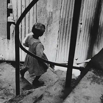 Picture for song 'avrora' by artist 'drama collection'