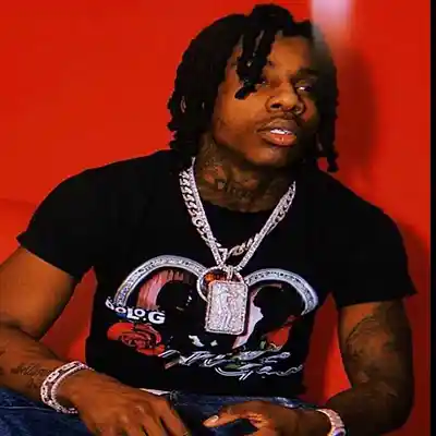 Picture for song 'Polo G Type Beat - Risky BPM 137 D minor' by artist 'Hashtag6eatZ033'