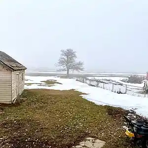 Picture for song 'A Hazy Shade Of Winter' by artist 'Jimi Sweeney'