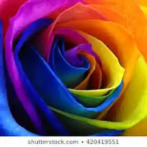 Picture for song 'Paint our World' by artist 'Johanna Renfro'