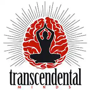 Picture for song 'Transendental' by artist 'Johanna Renfro'