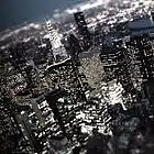 Picture for song 'Champion' by artist 'K.O. Beats Productions'