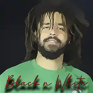 Picture for song 'Black N White' by artist 'POTTA THA PRODUCER'