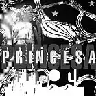 Picture for song 'PRINCESA-intentalo mx 1' by artist 'PRINCESA x Max'