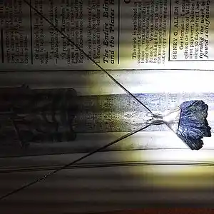 Picture for song 'Life Solar' by artist 'Queen Nefer Aset Titi Cleo She Bah and ?'