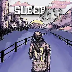 Picture for song 'Rookie' by artist 'Sleepless (rock)'