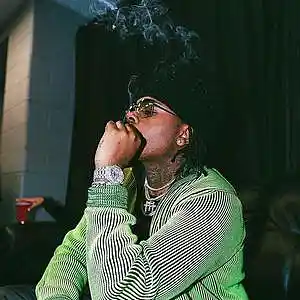 Picture for song 'GUNNA x YOUNG THUG "ROSES"' by artist 'storm on da beat'